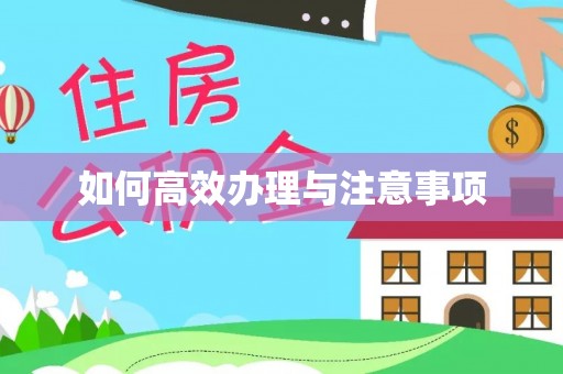 义竹如何高效办理与注意事项