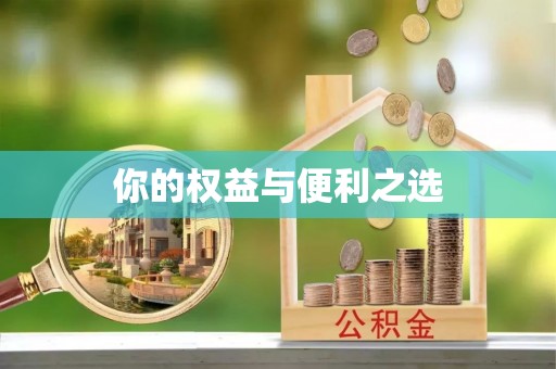 义竹你的权益与便利之选