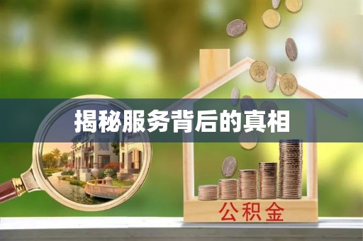 义竹揭秘服务背后的真相