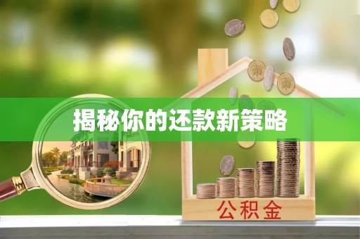 义竹揭秘你的还款新策略