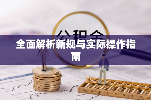 义竹全面解析新规与实际操作指南