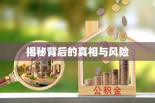 义竹揭秘背后的真相与风险