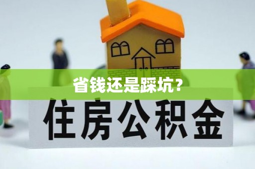 义竹省钱还是踩坑？