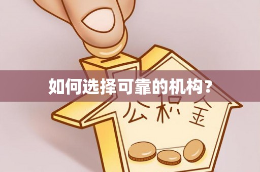 义竹如何选择可靠的机构？