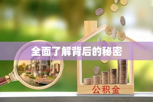 义竹全面了解背后的秘密