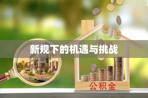 义竹新规下的机遇与挑战