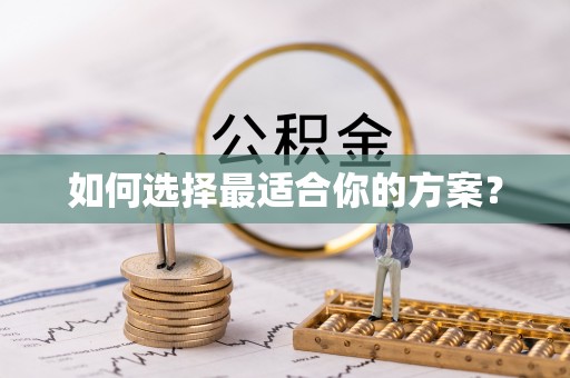 义竹如何选择最适合你的方案？