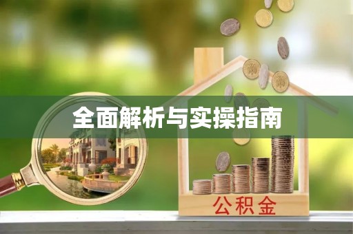 义竹全面解析与实操指南
