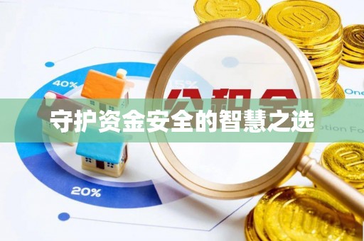 义竹守护资金安全的智慧之选